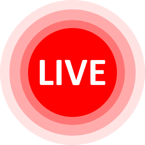 Liveescort Com